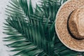 Minimal lyfestyle concept, straw hat, tropical palm Royalty Free Stock Photo