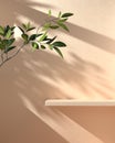 Minimal Mockup Shelf Display With Sunshade Branch Shadow On Beige Concrete Wall Abstract Background 3d Render