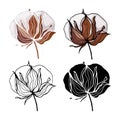 Minimal monochrome botanical design, engraving bud. Contour hand drawign and color isolated set of cotton flower with leaves.