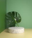 Minimal Natural Mockup White Podium Display With Monstera Leaves Tropical Plant Background 3d Render