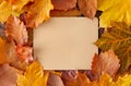 Minimal nature composition. Colorful autumn leaves with frame. Flat lay.