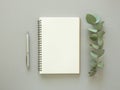 Minimal notepad sheet mockup. Empty notebook with copy space, pen and eucalyptus leaves. Top view Royalty Free Stock Photo