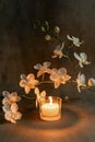 Minimal Orchid And Candle Composition With Warm Light And Copy Space Royalty Free Stock Photo