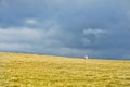 Minimal at Pasul Urdele  - Transalpina Royalty Free Stock Photo