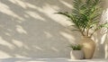 Minimal product placement background with tropical palm in clay pot and shadow on concrete wall. Luxury summer architecture