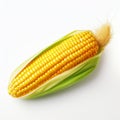 Minimal Retouched Corn Photo With Clean Look And White Background