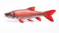 Minimal Retouching Fish Model With Red Body And Silver Scales