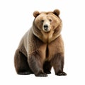 Minimal Retouching: Large Grizzly Bear In Ultra Hd Royalty Free Stock Photo