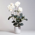 Minimal Retouching: Three White Flowers In A White Pot