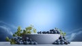 Minimal scene empty podium with fresh blueberry for cosmetic or beverages promotion