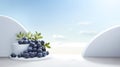 Minimal scene empty podium with fresh blueberry for cosmetic or beverages promotion