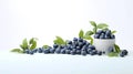 Minimal scene empty podium with fresh blueberry for cosmetic or beverages promotion
