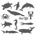 Minimal sea animals vector illustration Royalty Free Stock Photo