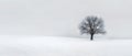 Minimal Snowy Landscape with Single Tree and Pale Sky in Serene Winter Composition Royalty Free Stock Photo