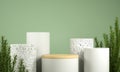 Minimal Step Podium Set Collection With Green Rosemary On Pastel Color Background 3d Render