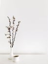 Minimal still life with cherry blossoms in chinaware