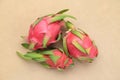 Minimal still life photography. Three dragonfruits arrange in circle