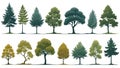 Minimal style cad tree line drawing, Side view, set of graphics trees elements outline symbol for architecture and landscape Royalty Free Stock Photo