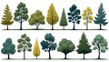 Minimal style cad tree line drawing, Side view, set of graphics trees elements outline symbol for architecture and landscape Royalty Free Stock Photo