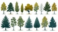 Minimal style cad tree line drawing, Side view, set of graphics trees elements outline symbol for architecture and landscape Royalty Free Stock Photo