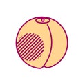 Minimal Style Peach Illustration. Icon Or Logo Design