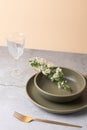 Minimal table setting with olive green ceramic plates and a cut glass goblet on a concrete surface and peach-colored background. Royalty Free Stock Photo