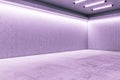 Pink empty exhibition hall Royalty Free Stock Photo