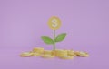Minimal tree with coin blossom growing as investment 3D render illustration
