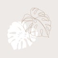 Minimal tropical art. Tropical monstera leaves silhouette and line art on pastel beige background