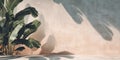 Minimal tropical backdrop with banana leaf shadows on pastel wall, light texture, plenty of open space Royalty Free Stock Photo