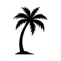 Minimal Tropical Palm Tree Silhouette On Clean Bright White Background Royalty Free Stock Photo