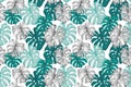 Minimal tropics background. Duo toned monstera leaves seamless pattern in turquoise green trendy colors