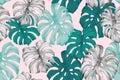 Minimal tropics background. Duo toned monstera leaves seamless pattern in turquoise pink trendy colors