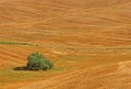 Minimal in tuscany in lajatico Royalty Free Stock Photo