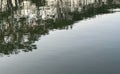 Minimal Water Surface with Soft Tree Reflections Royalty Free Stock Photo