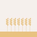Minimal wheat field. Geometrical shapes. Mustard color. Vector illustration, flat design Royalty Free Stock Photo