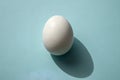 Minimal White Egg on Blue Background with Soft Shadow Royalty Free Stock Photo