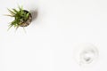 Minimal white office desk table with glass of drinking water and grass pot. Top view with copy space, flat lay Royalty Free Stock Photo