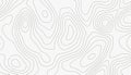 Minimal White Topographic Line Map Pattern Royalty Free Stock Photo