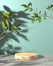 Minimal Wood Stage For Show Product On Cement Floor And Sunlight Plant Shadow On Mint Background 3d Render