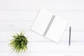 Minimal work space - Creative flat lay photo of workspace desk. Office desk background with notebooks and pens and plant. Royalty Free Stock Photo