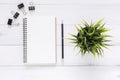 White office desk wooden table background with open mock up notebooks and pens and plant. Royalty Free Stock Photo