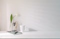 Minimal workplace with coffee cup pencil holder notebook and flower pot on white table. Copy space for your advertise text Royalty Free Stock Photo