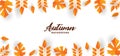 Minimalism concept autumn design template background vector