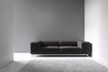 Minimalism interior with gray wall, black sofa and decor. Royalty Free Stock Photo