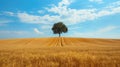 Minimalism landscape with a lone tree standing in a field of wheat