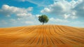Minimalism landscape with a lone tree standing in a freshly cut wheat field