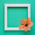 Minimalism. Masterpiece in wooden frame decorated hibiscus flower. Royalty Free Stock Photo