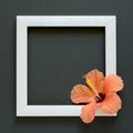 Minimalism. Masterpiece in wooden frame decorated hibiscus flower. Royalty Free Stock Photo