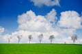 Minimalism photo: Biker in beautiful spring nature